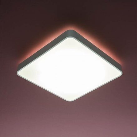 SCREEN LED fürdőszobai mennyezeti lámpa, matt fehér, 10515