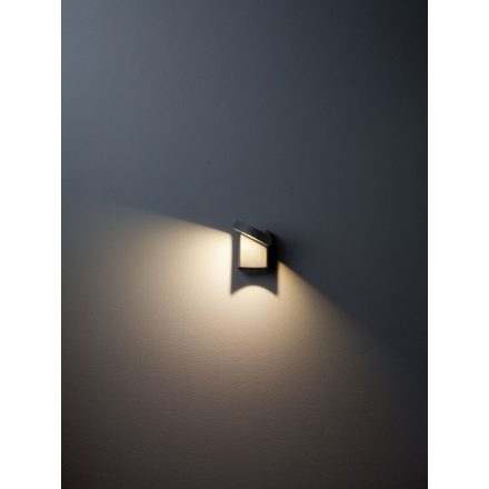 BIRKEN, LED kültéri fali lámpa sötétszürke színben