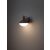 DANUBIA kültéri fali lámpa, sötétszürke