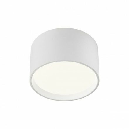 CYLINDER Modern LED mennyezeti lámpa, fehér/ fehér, 25x 45 cm